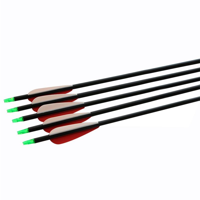 Hot sale Replaceable Tips Target Arrow Recurve compound Bow 6.2 mm Archery Hunting Mixed Carbon Arrow
Hot sale Replaceable Tips Target Arrow Recurve compound Bow 6.2 mm Archery Hunting Mixed Carbon Arrow