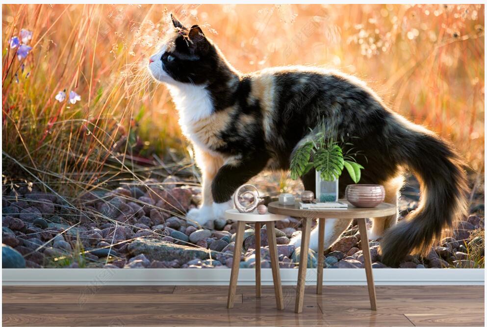 3d wallpaer custom photo mural on the wall Garden cute cat animal 3d wall murals wallpaper for walls 3 d living room home decor, Non-woven wallpaper
3d wallpaer custom photo mural on the wall Garden cute cat animal 3d wall murals wallpaper for walls 3 d living room home decor, Non-woven wallpaper