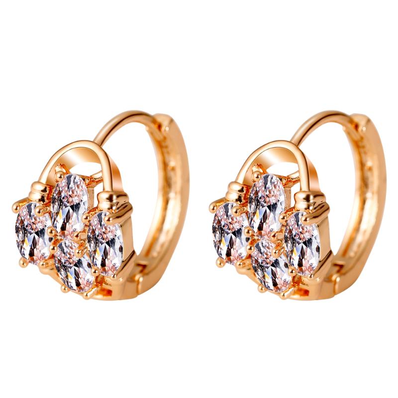 Fashion Lady's Flower Basket Charm Hoop Earings Gold Silver Color Zirconia Crystal Huggie Earring For Women Accessories
Fashion Lady's Flower Basket Charm Hoop Earings Gold Silver Color Zirconia Crystal Huggie Earring For Women Accessories