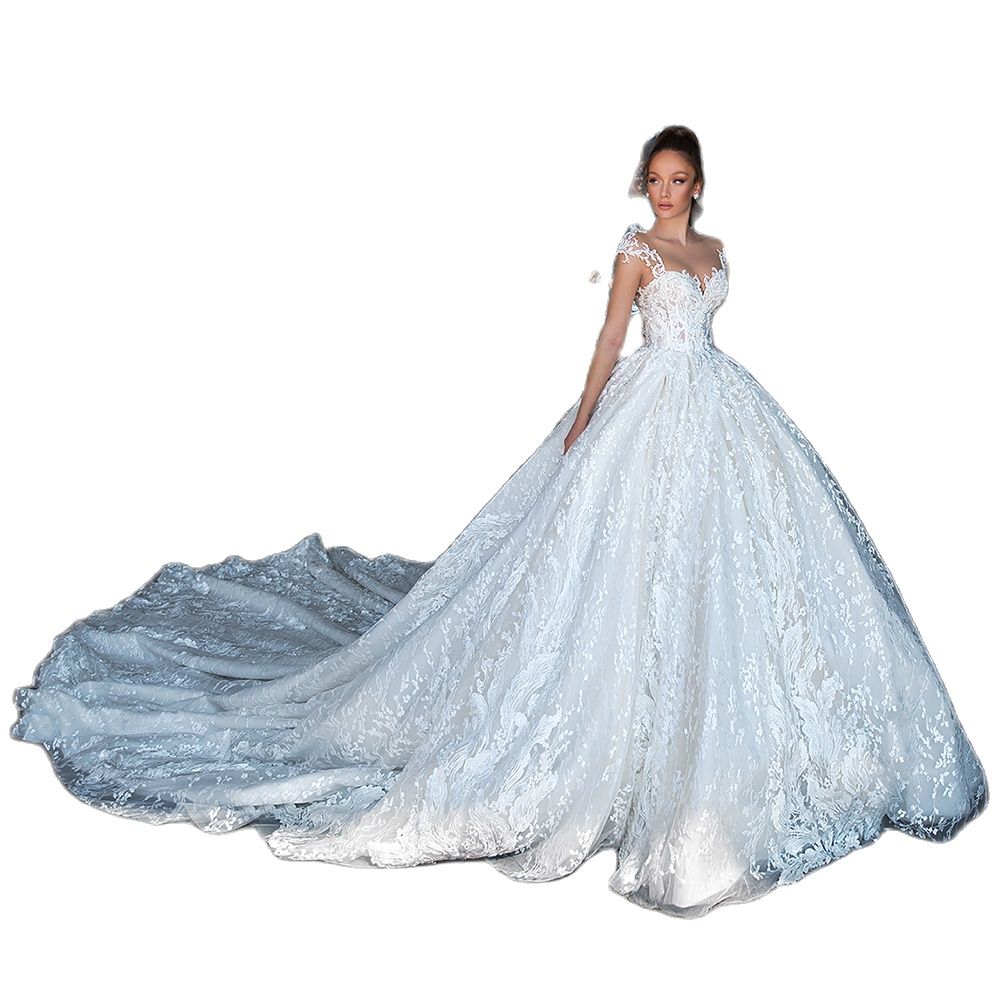 Cap Sleeve Tulle Ball Gown Wedding Dress Lace Appliques Longtrain Gowns Illusion Zipper Back Custom Made Bridal Dresses