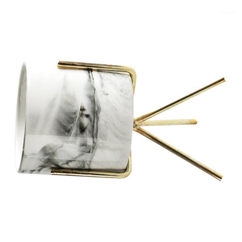 Iron Frame Flowerpot Holder Gold-plated Flower Pot Iron Ceramics Flowerpot (Golden, Random Pattern)1
Iron Frame Flowerpot Holder Gold-plated Flower Pot Iron Ceramics Flowerpot (Golden, Random Pattern)1