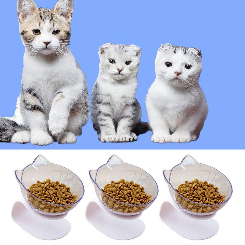 New Double Bowl Cat Feeder Raised Cat Water Bowls With Stand No Spill Reduce Pets Neck Pain For Cats And Small Dogs
New Double Bowl Cat Feeder Raised Cat Water Bowls With Stand No Spill Reduce Pets Neck Pain For Cats And Small Dogs