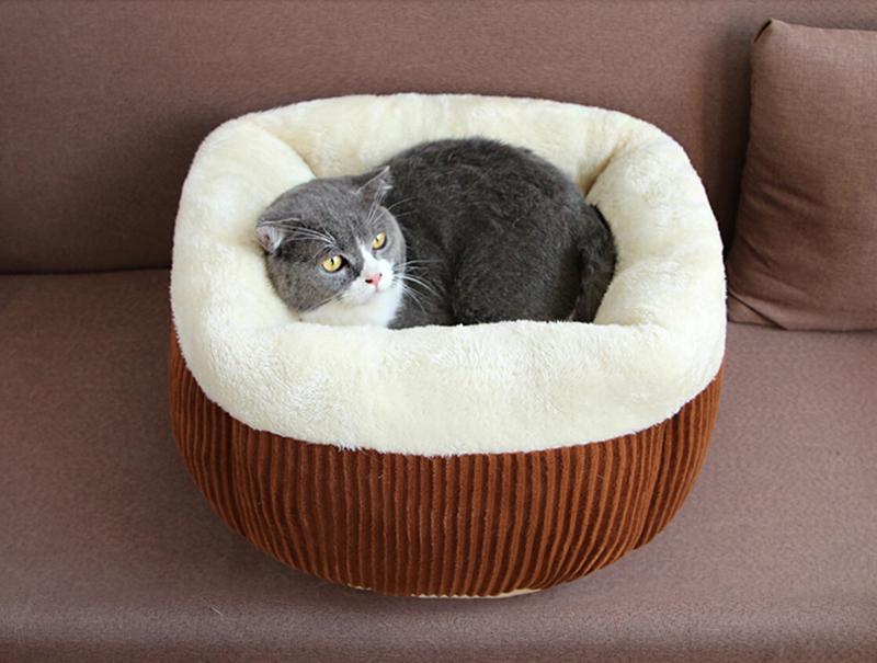 Super Cute Soft Cat Bed Winter House for Cat Warm Cotton Dog Pet Products Mini Puppy Pet Dog Bed Soft Comfortable
Super Cute Soft Cat Bed Winter House for Cat Warm Cotton Dog Pet Products Mini Puppy Pet Dog Bed Soft Comfortable