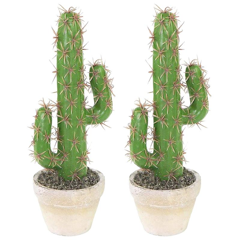 2Pcs Artificial Plastic Cactus Succulents Prickly Pear Potted Plant Simulation Home Office Desktop Decoration, Green
2Pcs Artificial Plastic Cactus Succulents Prickly Pear Potted Plant Simulation Home Office Desktop Decoration, Green