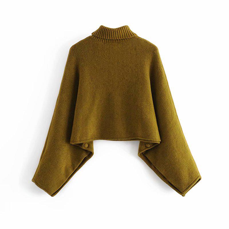 Cropped Woman Sweaters Fall Long Sleeve Ladies Tops Autumn Clothes Green Pullover Knitted Women' Sweater Turtleneck
Cropped Woman Sweaters Fall Long Sleeve Ladies Tops Autumn Clothes Green Pullover Knitted Women' Sweater Turtleneck