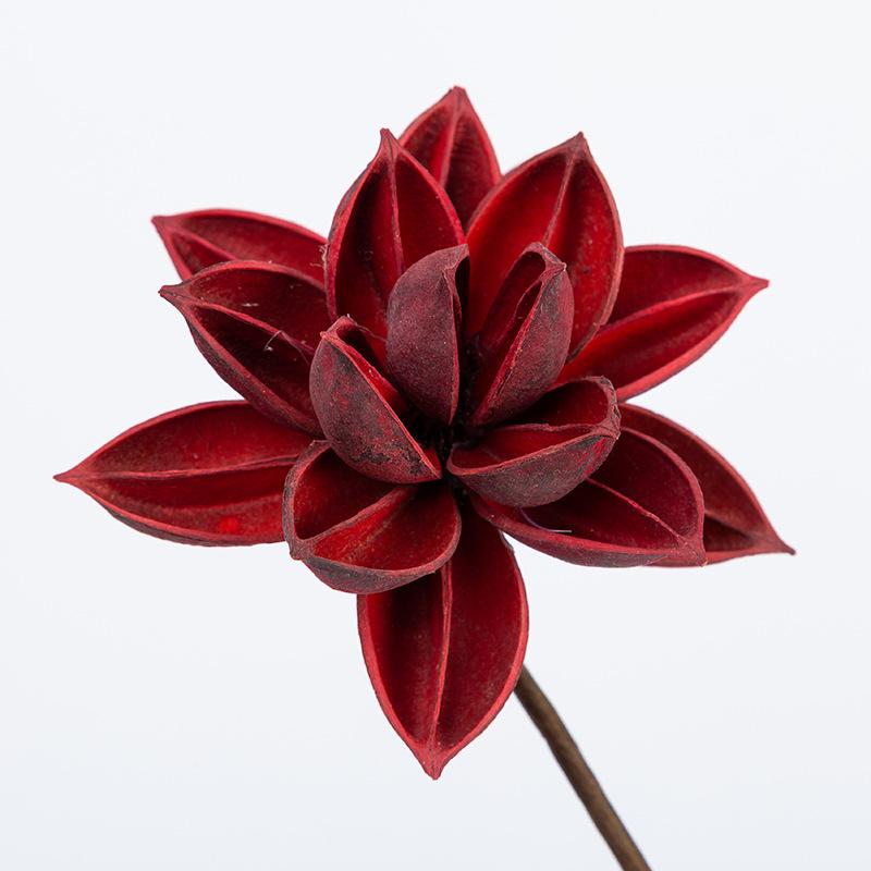 5PCS Natural Dried Flower Bunch,Craft Lotus,DIY Display Flower for Room Office Wedding Favor Floral Decor,Gift Eternelle Rose
5PCS Natural Dried Flower Bunch,Craft Lotus,DIY Display Flower for Room Office Wedding Favor Floral Decor,Gift Eternelle Rose