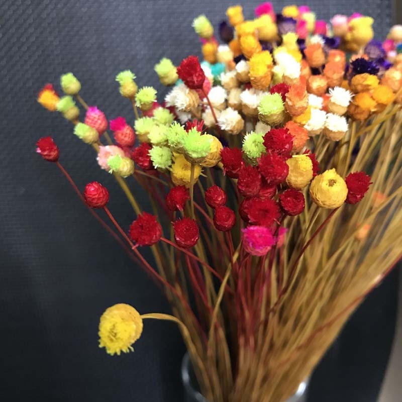 300PCS/~ 0.3CM Head,Real Dried Natural Mini Happy Flower Branch,Miniature Dry Flowers Bouquet for DIY Resin Jewellery,Home Decor F1217
300PCS/~ 0.3CM Head,Real Dried Natural Mini Happy Flower Branch,Miniature Dry Flowers Bouquet for DIY Resin Jewellery,Home Decor F1217