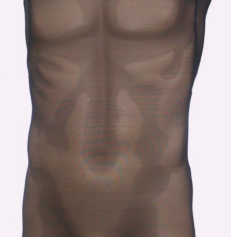 Men Perspective Lingerie Mesh Bodysuit Sheer Tee Tank-Top Vest Body Shapers Black Beige M/L/XL