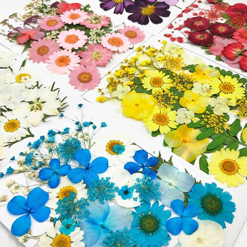 1set Embossing Dried Flower Material Flower Plants Specimen DIY Craft Scrapbooking Bloemen Flores Secas Christmas Gifts Handmade1
1set Embossing Dried Flower Material Flower Plants Specimen DIY Craft Scrapbooking Bloemen Flores Secas Christmas Gifts Handmade1