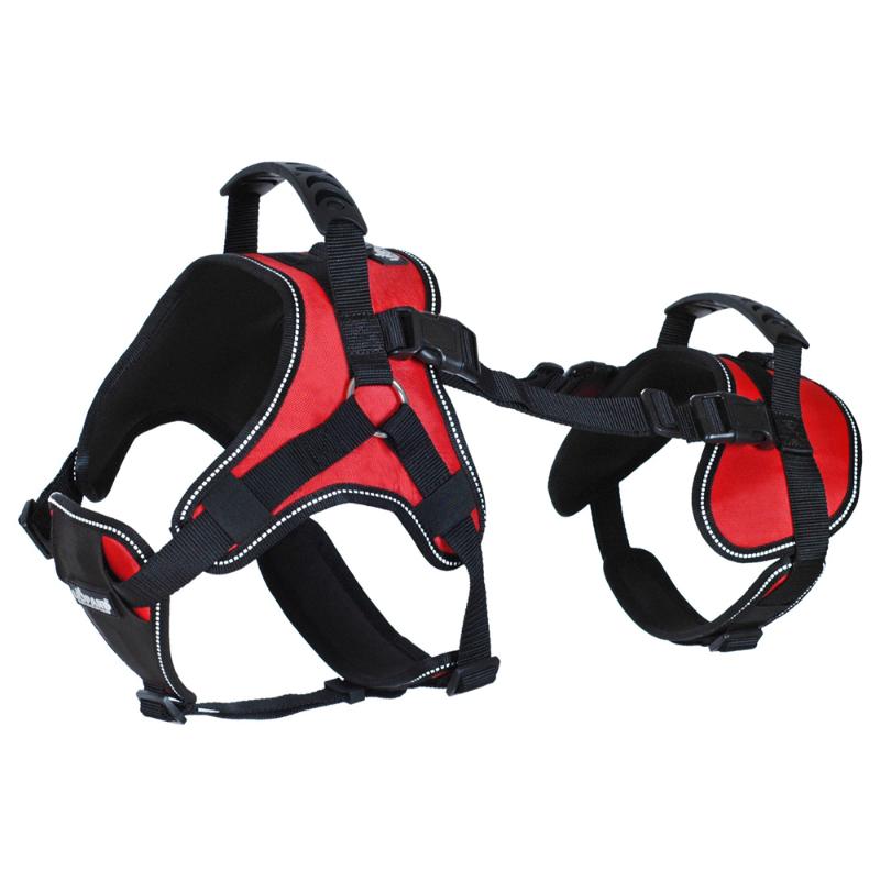 Reflective Heavy Duty Adjustable No Pull Pet Safety Harness Vest Multi-purpose Plastic Handle Canine Dog Harness
Reflective Heavy Duty Adjustable No Pull Pet Safety Harness Vest Multi-purpose Plastic Handle Canine Dog Harness