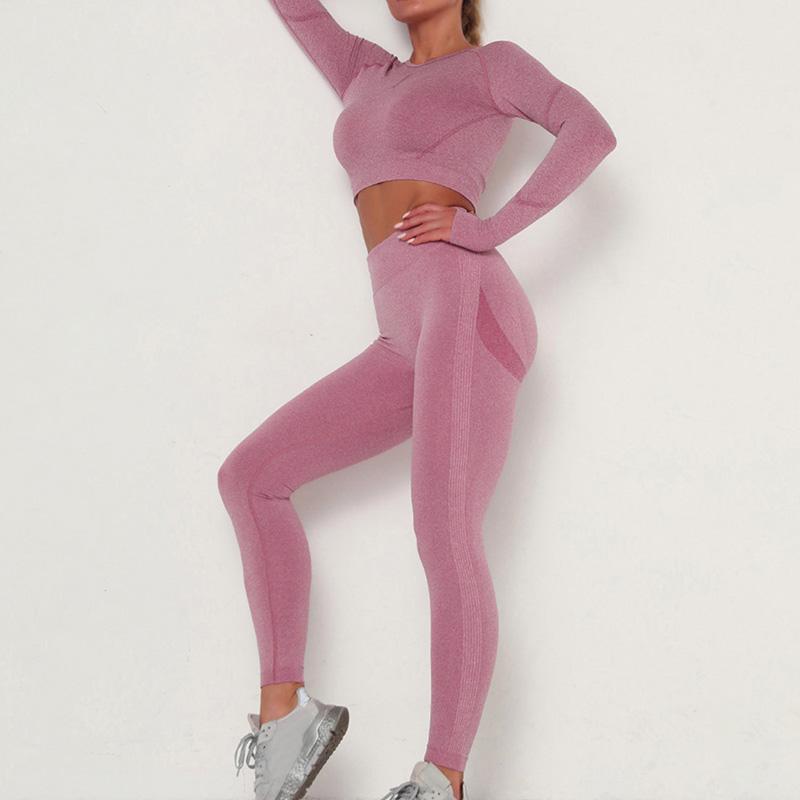Women Seamless Yoga Set Gym Clothing Fitness High Waist Leggings+Cropped Shirts Top Sport Suit Long Sleeve Tracksuit Wear, Blue
Women Seamless Yoga Set Gym Clothing Fitness High Waist Leggings+Cropped Shirts Top Sport Suit Long Sleeve Tracksuit Wear, Blue
