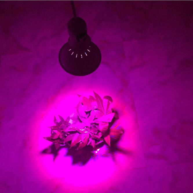 220V Phytolamp E27 LED Bulbs Grow lights light for Plant Growth Full spectrum Growing Bulb with 4M 8M Wire Switch EU Plug in Indoor Flower Seedlings