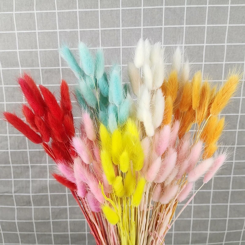 120pcs/36cm Nature Dried Flower,Real Retro Lagurus Ovatus for DIY Wedding Favor Home Christmas Photo frame Gift Box Decoration F1217
120pcs/36cm Nature Dried Flower,Real Retro Lagurus Ovatus for DIY Wedding Favor Home Christmas Photo frame Gift Box Decoration F1217