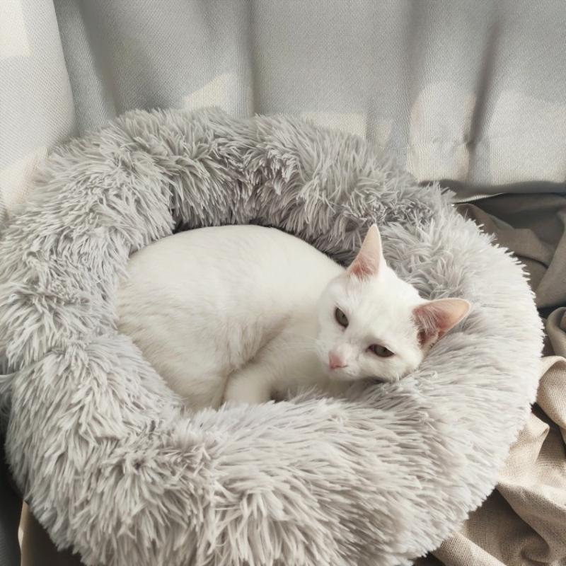 6 Sizes Round Plush Cat Bed House Cat Mat Winter Warm Sleeping Cats Nest Soft Dog Basket Pet Cushion Portable Pets Supplies
6 Sizes Round Plush Cat Bed House Cat Mat Winter Warm Sleeping Cats Nest Soft Dog Basket Pet Cushion Portable Pets Supplies