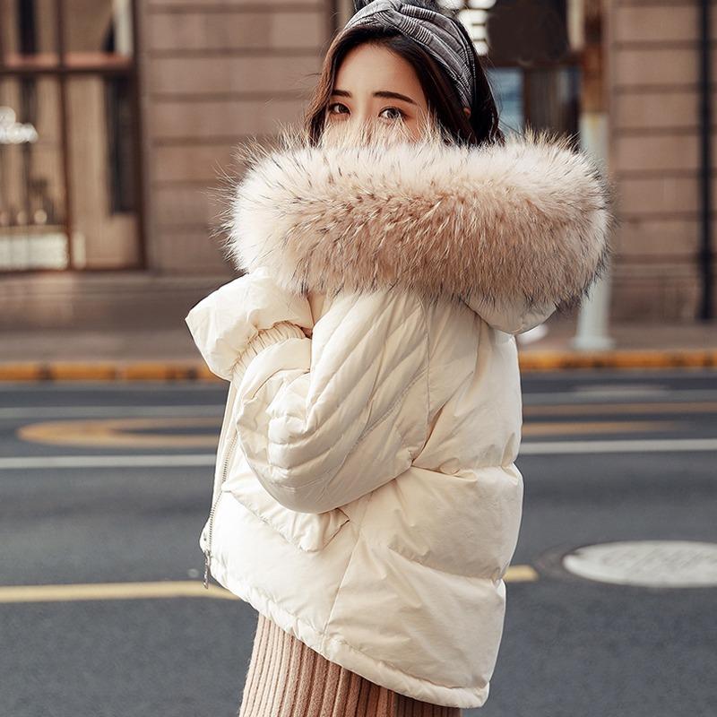 Thick Warm Big Real Raccoon Fur White Duck Down Jacket Down Parka Winter Woman Coat 2020 Snow Winter Jacket Women Female Q489
Thick Warm Big Real Raccoon Fur White Duck Down Jacket Down Parka Winter Woman Coat 2020 Snow Winter Jacket Women Female Q489