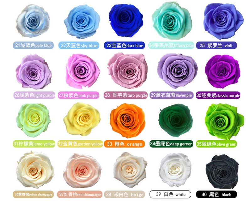 Eternal Wers Holding Bucket Valentine's Day Gift Box Rose Decorative Wer Girlfriend Wife Romantic Festival Present