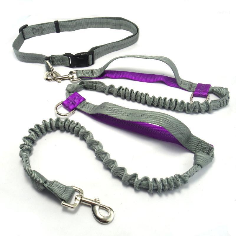 Hands Free Dog Leash with Adjustable Waist Beltt, Extra Long Bungees Leash with 2 Handles 2 D-rings for Running Jogging1
Hands Free Dog Leash with Adjustable Waist Beltt, Extra Long Bungees Leash with 2 Handles 2 D-rings for Running Jogging1