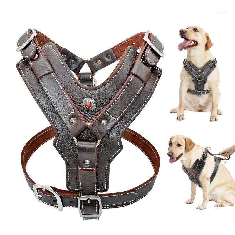 Durable Harness Dog Large Dogs Genuine Leather Harnesses Pet Training Vest With Quick Control Handle For Labrador Pitbull K91
Durable Harness Dog Large Dogs Genuine Leather Harnesses Pet Training Vest With Quick Control Handle For Labrador Pitbull K91