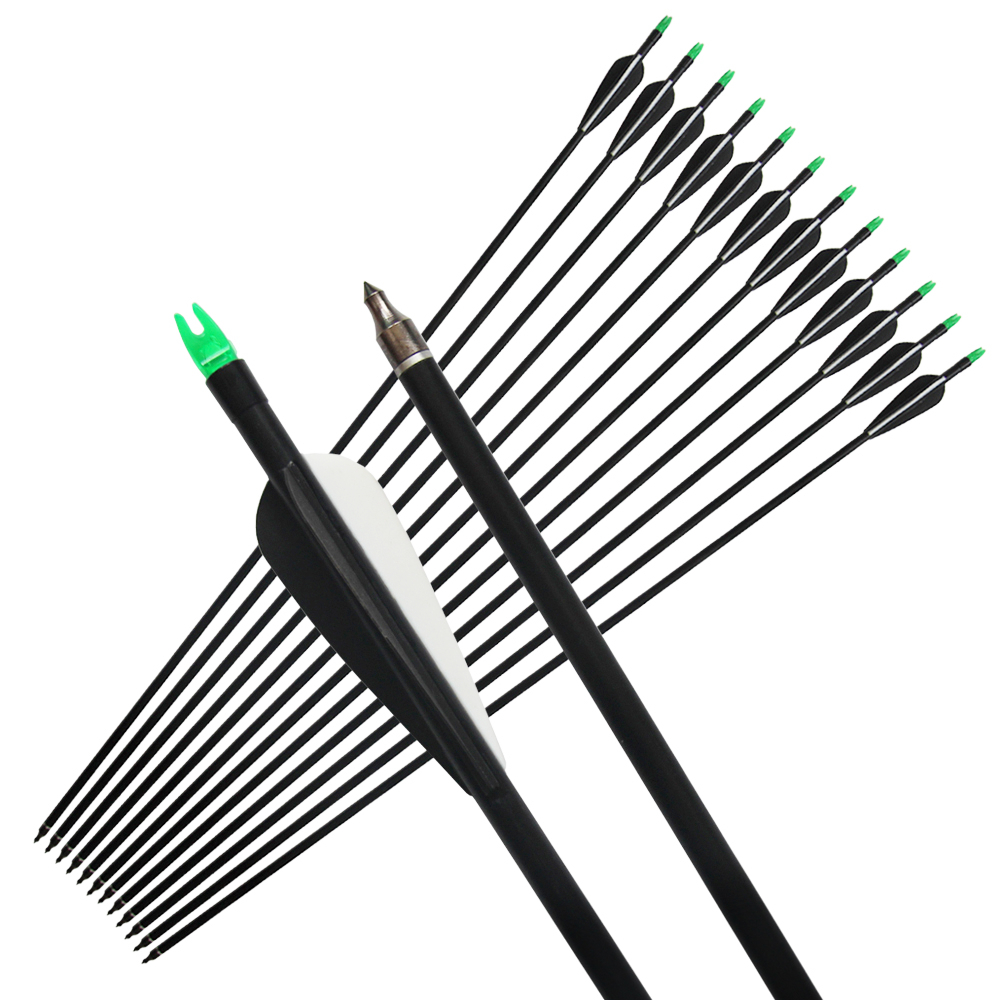 33" Fiberglass Arrows Hunting Archery Arrow with Replaceable Tips and Plastic Fletching for Recurve Bows/Compound Bows Spine 500
33" Fiberglass Arrows Hunting Archery Arrow with Replaceable Tips and Plastic Fletching for Recurve Bows/Compound Bows Spine 500