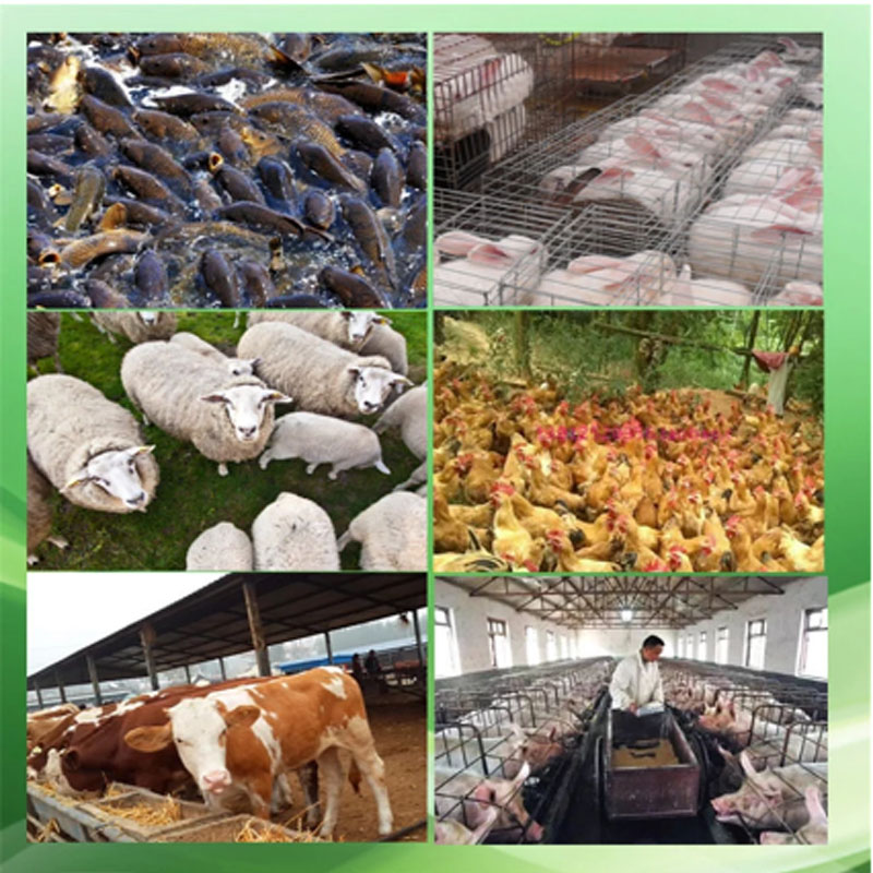 2020 latest hot sale KL-125 4KW pellet mill, animal feed wood pellet machine, biomass pellet mill 120-150kg/h