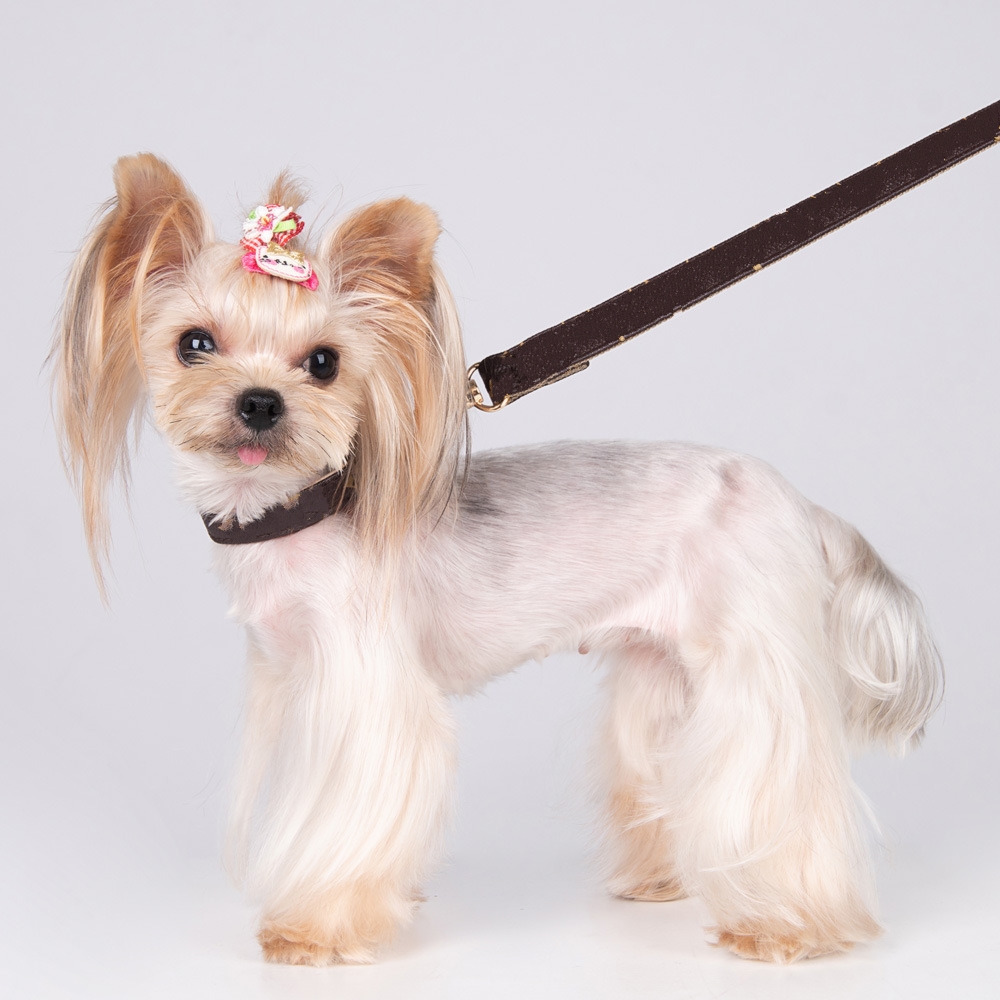 Pets Collars Leashes Classic Pattern PU Leather Adjustable Pet Dogs Cats Leashes Outdoor Personality Cute Pet Collar cny2363
Pets Collars Leashes Classic Pattern PU Leather Adjustable Pet Dogs Cats Leashes Outdoor Personality Cute Pet Collar cny2363