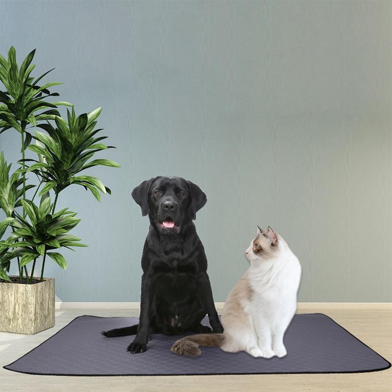 Reusable Diapers For Dog Urine Water Absorbency Diaper Sleeping Bed For Small Dog Pet Absorbent Mat Puppy Training Pad Beds, Gray
Reusable Diapers For Dog Urine Water Absorbency Diaper Sleeping Bed For Small Dog Pet Absorbent Mat Puppy Training Pad Beds, Gray