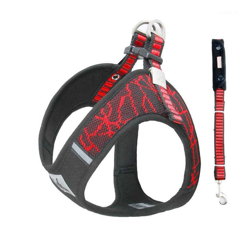 Pet Dog Harness Leash Set For Chihuahua Pug Small Medium Dogs Printed Puppy Cat Walking Harnesses Vest Pet Products Dropshipping1
Pet Dog Harness Leash Set For Chihuahua Pug Small Medium Dogs Printed Puppy Cat Walking Harnesses Vest Pet Products Dropshipping1