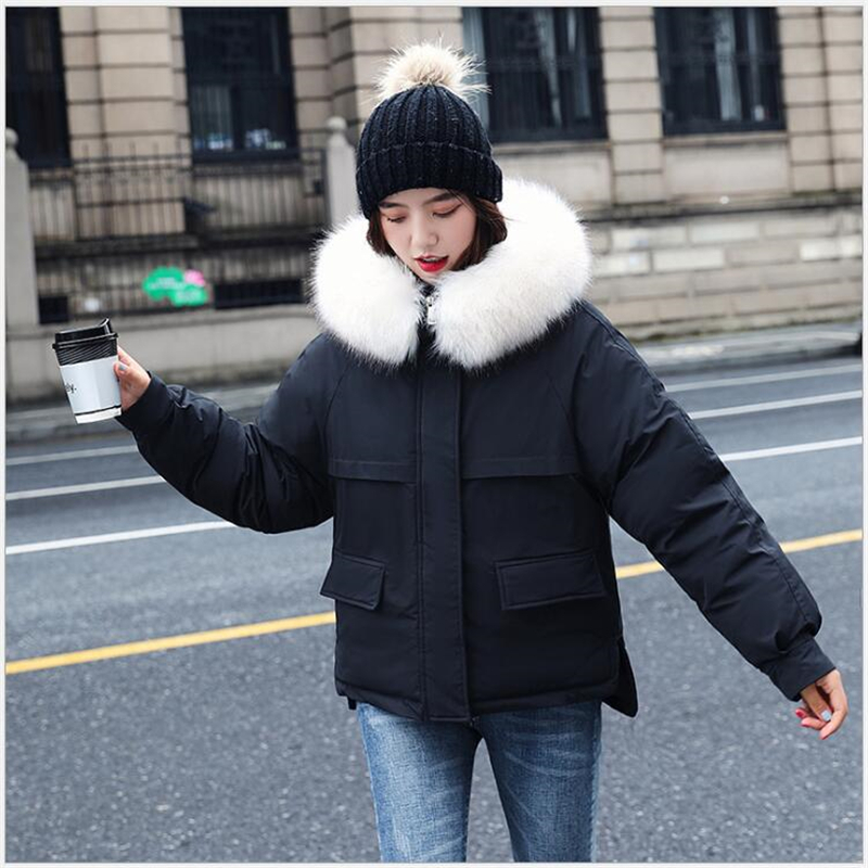 new women jacket 2020 parka short women's winter coat Fake Fur Collar student snow wear G797 ESCR, Brown
new women jacket 2020 parka short women's winter coat Fake Fur Collar student snow wear G797 ESCR, Brown