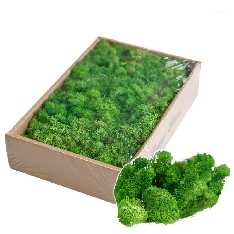 Artificial Plant Eternal Life 200g Moss Garden Home Decoration Wall DIY Flower Material Mini Garden Micro Landscape Accessories1, Black
Artificial Plant Eternal Life 200g Moss Garden Home Decoration Wall DIY Flower Material Mini Garden Micro Landscape Accessories1, Black