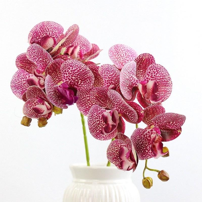 1 bunch (6 heads) plastic Butterfly orchid , used for home decoration, wedding decoration flower, White
1 bunch (6 heads) plastic Butterfly orchid , used for home decoration, wedding decoration flower, White