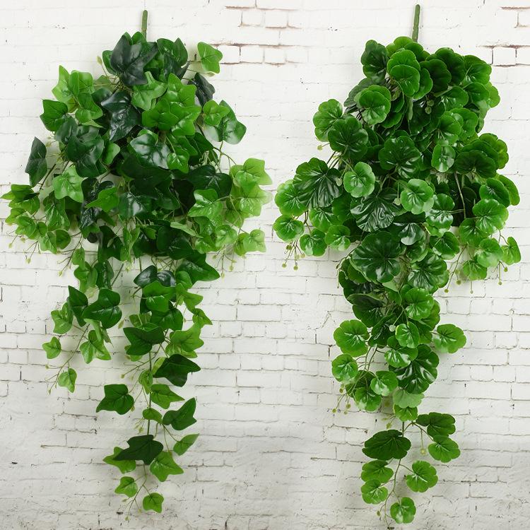 Wholesale artificial green Boston ivy grape leaves artificial plants wall hanging greenery decorative rattan vines fake plants, Sky blue
Wholesale artificial green Boston ivy grape leaves artificial plants wall hanging greenery decorative rattan vines fake plants, Sky blue