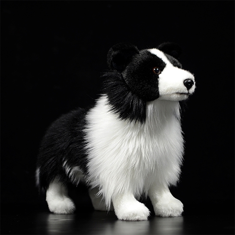 Hot Original Border Collie Dog Mini Dog Kids Stuffed Plush Toys Black Cute Lovely Child Gift Lifelike Animal Doll Poodles Model 201212, Chihuahua dog
Hot Original Border Collie Dog Mini Dog Kids Stuffed Plush Toys Black Cute Lovely Child Gift Lifelike Animal Doll Poodles Model 201212, Chihuahua dog
