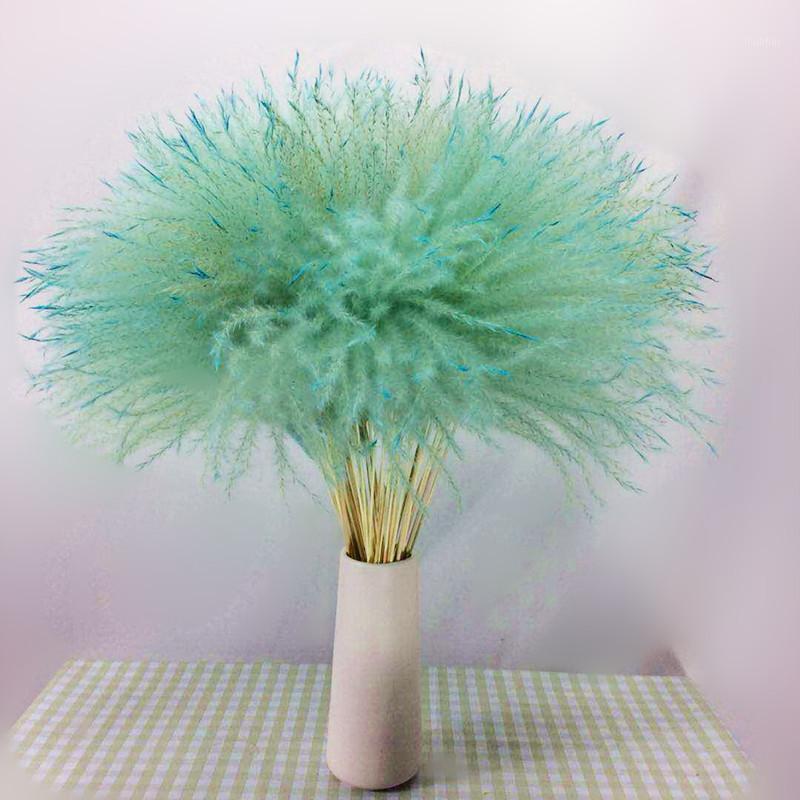 10pcs Natural Pampas Grass Decor Flower Dried Plants Wedding Flowers Bunch Christmas Home Decor Colorful Phragmites Communis1, Pink
10pcs Natural Pampas Grass Decor Flower Dried Plants Wedding Flowers Bunch Christmas Home Decor Colorful Phragmites Communis1, Pink
