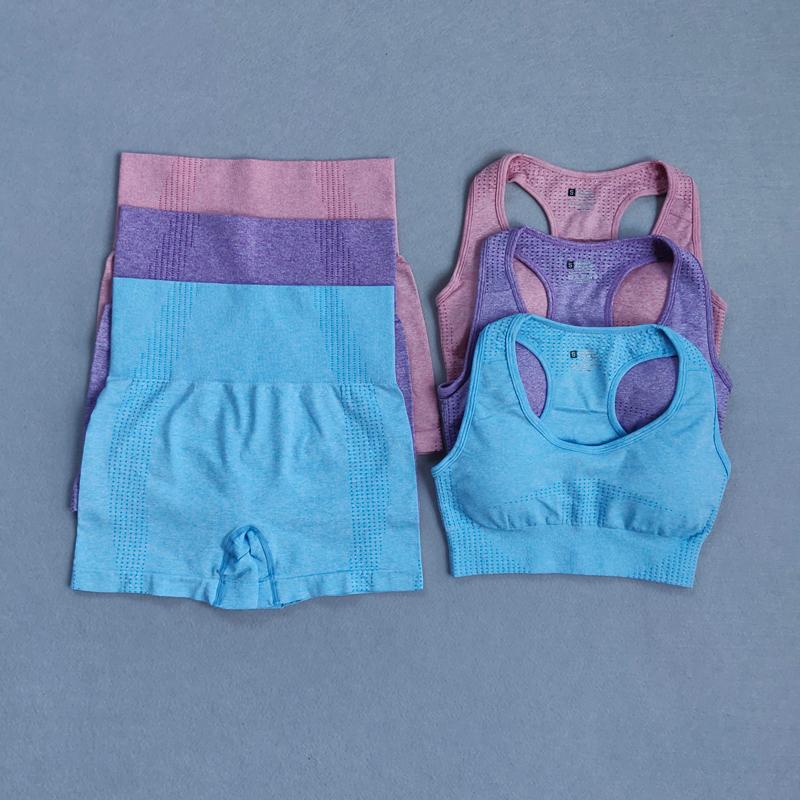 Women' Sportwear Gym Set Seamless Yoga Sports Suits Sport Bra High Waist Fitness Shorts Running Sportswear Workout Gym Clothes, Brablue
Women' Sportwear Gym Set Seamless Yoga Sports Suits Sport Bra High Waist Fitness Shorts Running Sportswear Workout Gym Clothes, Brablue