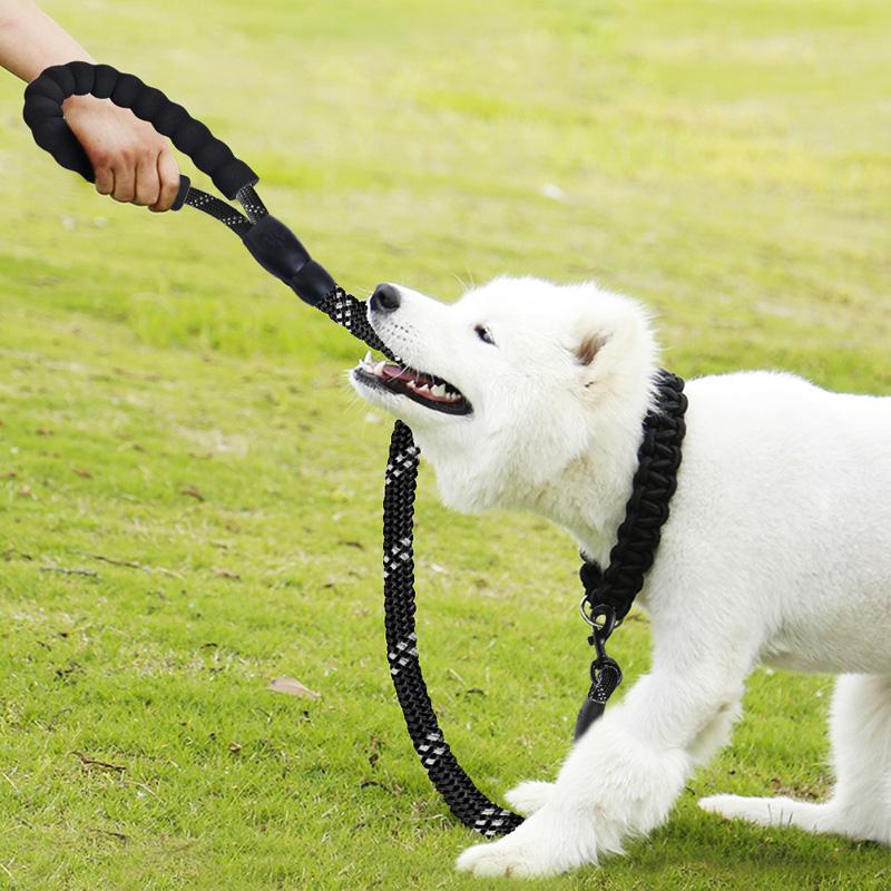 Pet Reflective Dog Leash Durable Nylon Dog Harness Colorful Walking Training Leash Cats Dogs Leashes Strap 1.5m Belt Rope
Pet Reflective Dog Leash Durable Nylon Dog Harness Colorful Walking Training Leash Cats Dogs Leashes Strap 1.5m Belt Rope