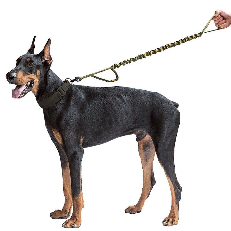 High Quality Dog Leash for Outdoor Use Thickened Retractable Elastic Rope Puppy Dog Leashes for Outdoors Training Playing 2020
High Quality Dog Leash for Outdoor Use Thickened Retractable Elastic Rope Puppy Dog Leashes for Outdoors Training Playing 2020