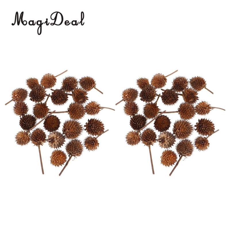 100x Rustic Country Natural Dried Flowers Fruits Home Accents For Wedding Indoor Outdoor Event Party Decorations Table Ornaments, As pic
100x Rustic Country Natural Dried Flowers Fruits Home Accents For Wedding Indoor Outdoor Event Party Decorations Table Ornaments, As pic