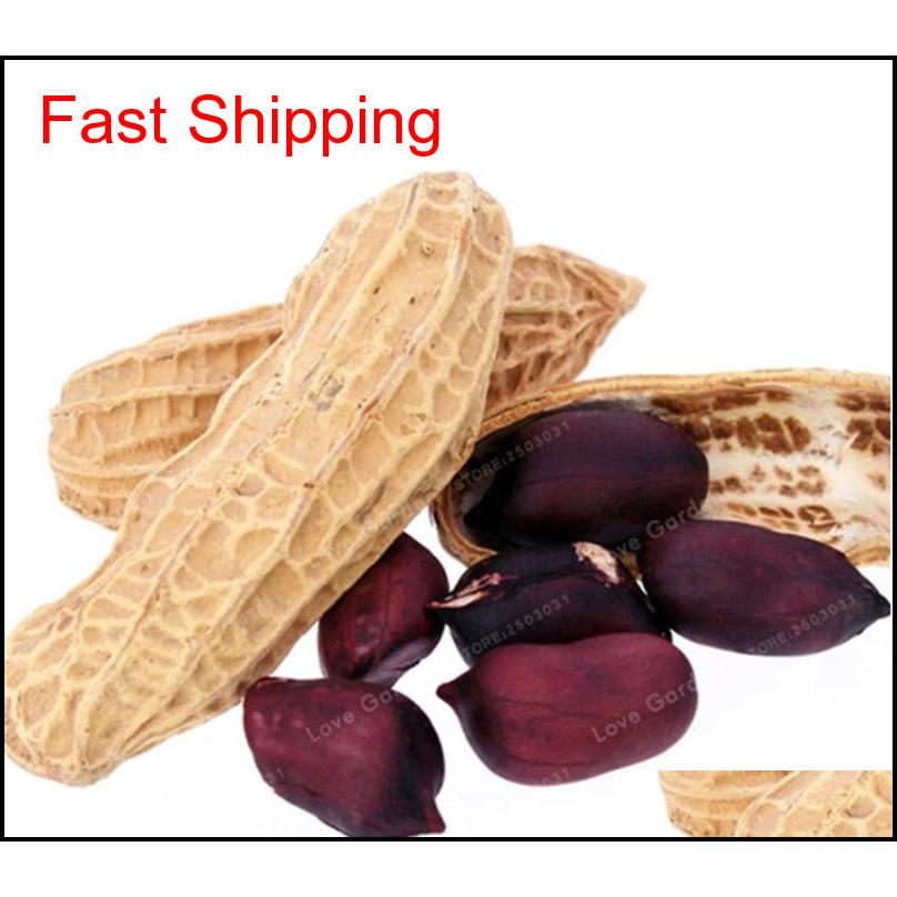 10 Pcs Arachis Hypogaea Seeds Red Black Organic Rare Heirloom Peanut Plant Seeds Organic Vegetable Se qylLdx bdesports
10 Pcs Arachis Hypogaea Seeds Red Black Organic Rare Heirloom Peanut Plant Seeds Organic Vegetable Se qylLdx bdesports
