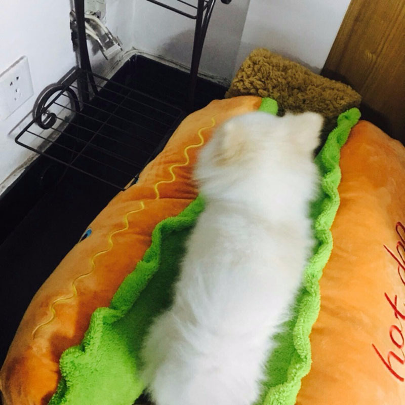 Hot various Size Large Lounger Kennel Mat Fiber Pet Puppy Warm Soft Bed House Product For Dog And Cat 201127