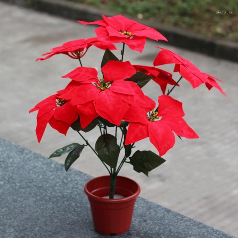 50pcs Large Poinsettia Home Decor Velvet Gift Tree Artificial Flower Accessories Wedding Party Ornaments Christmas DIY1
50pcs Large Poinsettia Home Decor Velvet Gift Tree Artificial Flower Accessories Wedding Party Ornaments Christmas DIY1