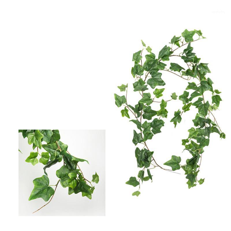 Hot Artificial Flower, branch, plant, vine, green fern, 1.7 meter, rattan, wedding, twining winder, road guide Home Decoration1, Leaf green
Hot Artificial Flower, branch, plant, vine, green fern, 1.7 meter, rattan, wedding, twining winder, road guide Home Decoration1, Leaf green