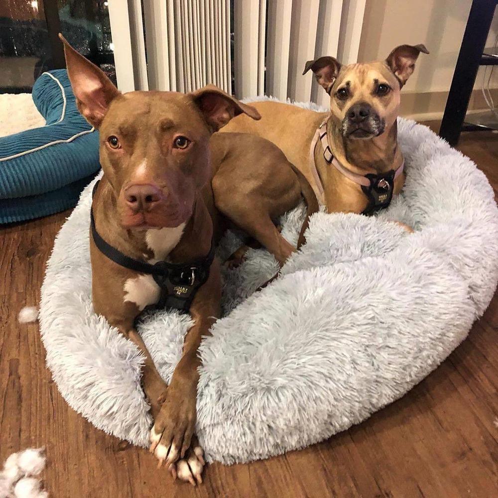 Round Long Plush Dog Beds for Large Dogs Pet Products Cushion Super Soft Fluffy Comfortable Cat Mat Supplies Accessories 201119