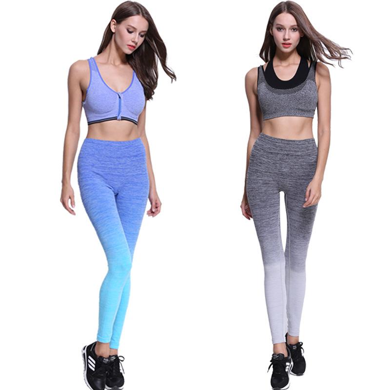 Women Yoga Pants High Elastic Fitness Sport Leggings Tights Slim Running Sportswear Sports Pants Quick Dry Training Trousers, Blue
Women Yoga Pants High Elastic Fitness Sport Leggings Tights Slim Running Sportswear Sports Pants Quick Dry Training Trousers, Blue