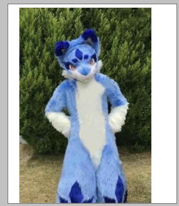 2018 Factory direct sale Husky Wolf Dog Fox Mascot Long Fur Costume Fursuit Halloween Suit Adult Size Furry Costume, As pic
2018 Factory direct sale Husky Wolf Dog Fox Mascot Long Fur Costume Fursuit Halloween Suit Adult Size Furry Costume, As pic