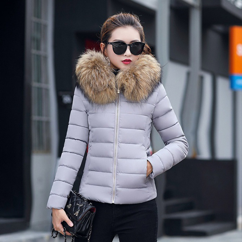 Zogaa Winter women parkas cotton thick-skinned collar with cowl wadded outwear solid female coat zipper puffer fur coats Y3RR, Pink
Zogaa Winter women parkas cotton thick-skinned collar with cowl wadded outwear solid female coat zipper puffer fur coats Y3RR, Pink