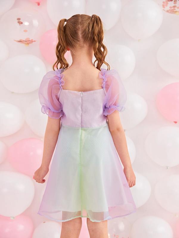 Girls 1pc Colorblock Puff Sleeve Mesh Overlay Dress SHE
