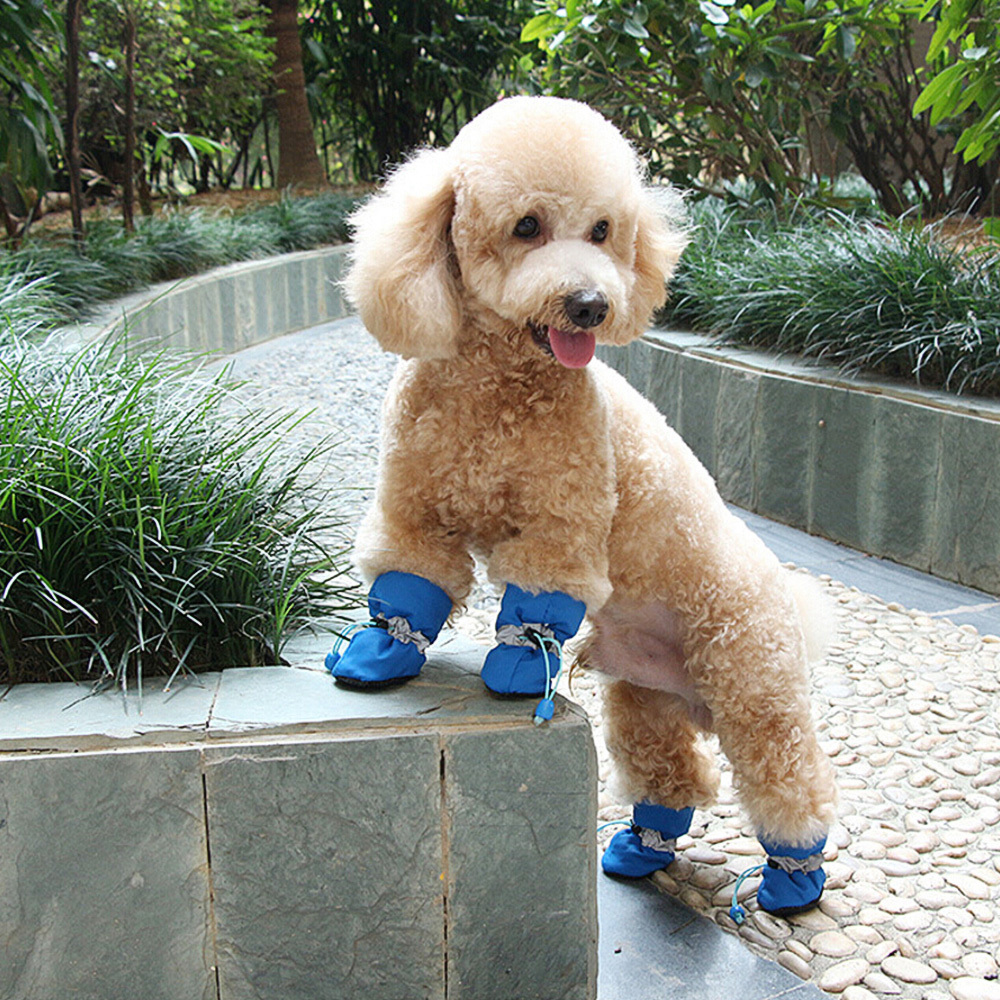 Antiskid Puppy Shoes 4pcs Soft-soled Dog Shoes Waterproof Soft Pet Paw Care Pet Accessories Fashion, Black
Antiskid Puppy Shoes 4pcs Soft-soled Dog Shoes Waterproof Soft Pet Paw Care Pet Accessories Fashion, Black
