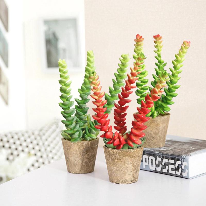 Plastic Artificial Succulents Creative Flower Arrangement Craft Floristry Artificial Plants for Home Decoration
Plastic Artificial Succulents Creative Flower Arrangement Craft Floristry Artificial Plants for Home Decoration