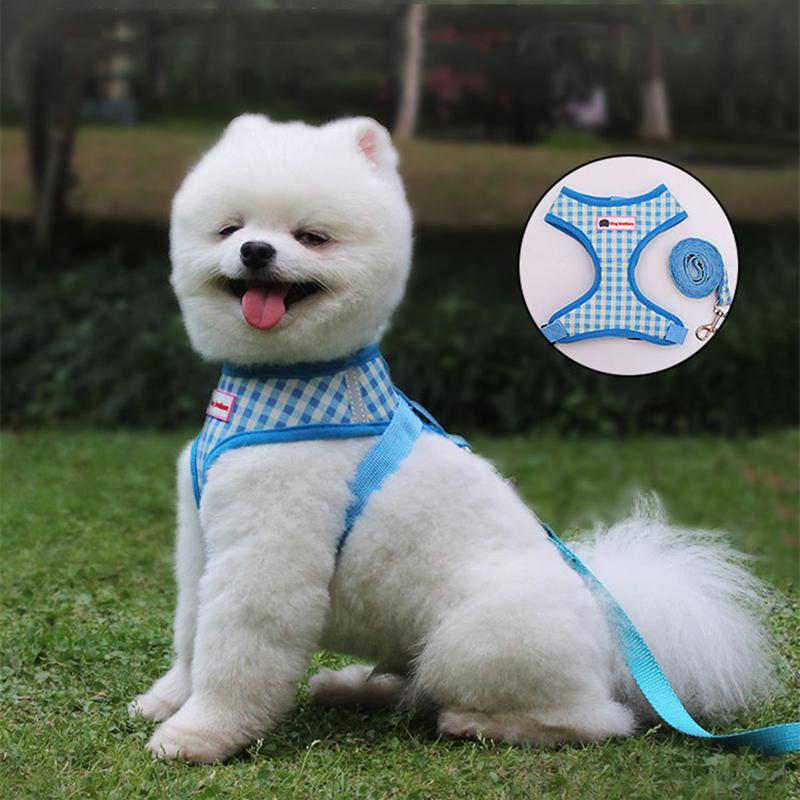 L Classic Lattice Chest Harness for Small Puppy Cats Both Sides Reflective Harnesses Vests with Rope Breathable Pets Supplies
L Classic Lattice Chest Harness for Small Puppy Cats Both Sides Reflective Harnesses Vests with Rope Breathable Pets Supplies