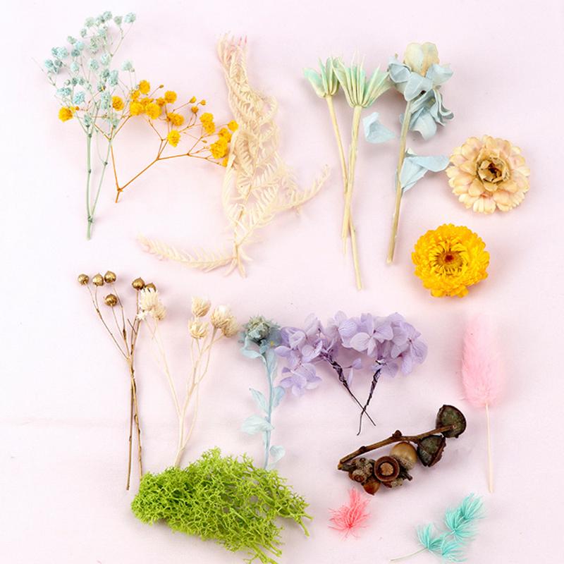 Eternal Dried Flower Material Package Handmade Floral Products DIY Scattered Preserved Fresh Flower Dried Material Mixed
Eternal Dried Flower Material Package Handmade Floral Products DIY Scattered Preserved Fresh Flower Dried Material Mixed